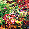 nature background panorama