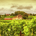 Bordeaux country side panorama 
