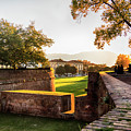 Medieval fortress wall in Lucca , Italy